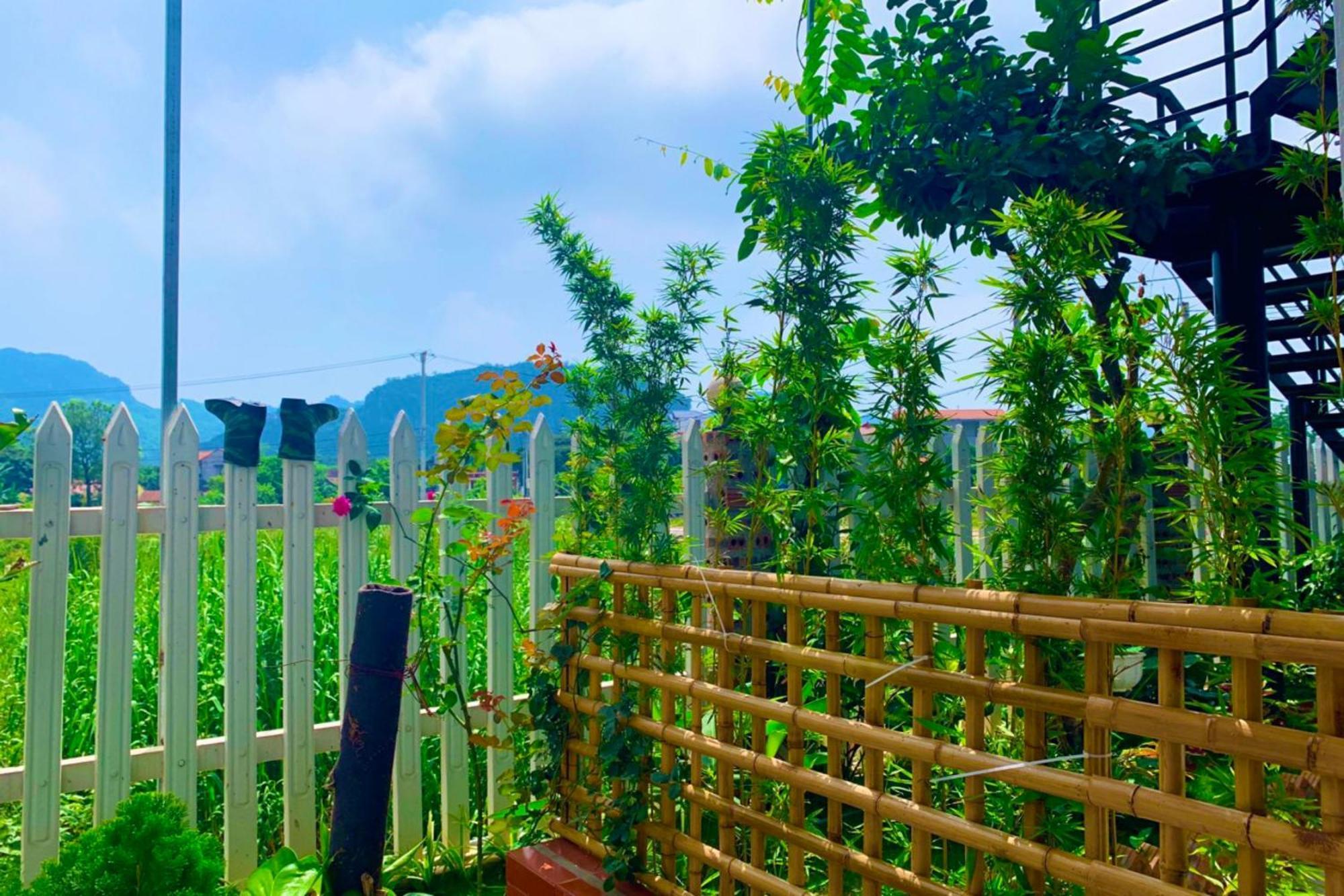 The Pineapple House Bed and Breakfast Νιν Μπιν Εξωτερικό φωτογραφία